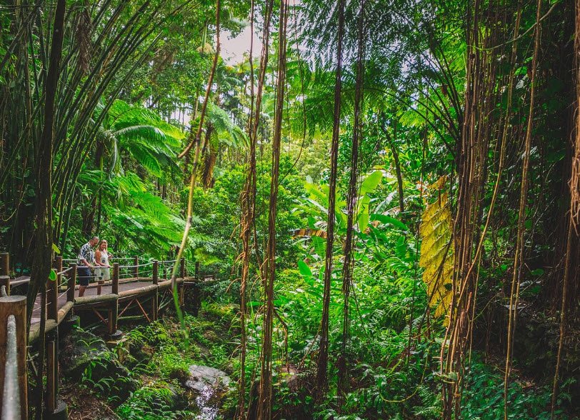 Hawai‘i Tropical Botanical Garden, United States